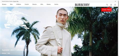 burberry account